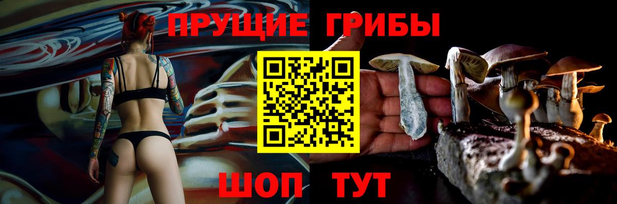 Гусиноозёрск  Псилоцибиновые грибы прущие грибы  Вход с VPN 